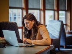 A student sitting at their laptop studying hard.