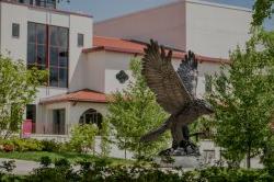 The Hawk Statue facing Kasser Theater.