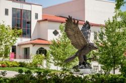 bronze hawk statue